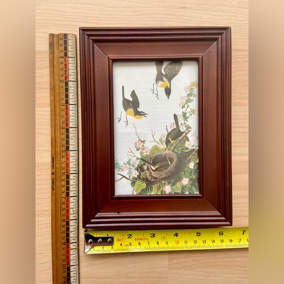 YELLOW BREASTED CHAT Audubon Birds Art Print Gallery Wall Framed Spring Nest - Picture 3 of 3